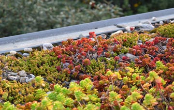 the cost of Briantspuddle green roof installation