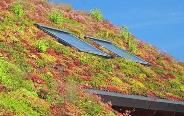 Briantspuddle living roof systems