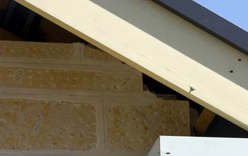 soffit repair Briantspuddle