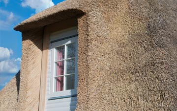 Briantspuddle thatch roof disadvantages