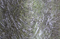 Briantspuddle fibreglass roof work