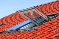 Briantspuddle roof window